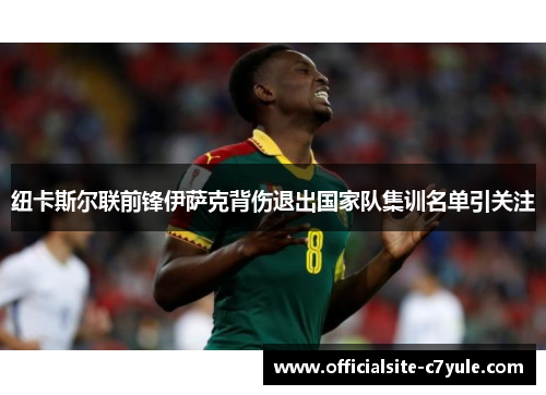 纽卡斯尔联前锋伊萨克背伤退出国家队集训名单引关注
